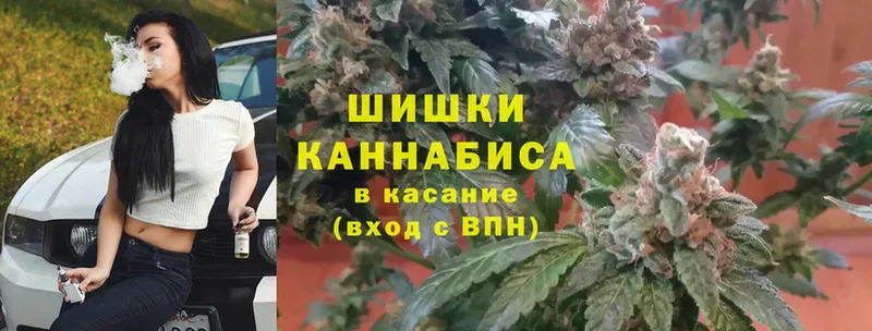 Каннабис OG Kush  Нальчик 